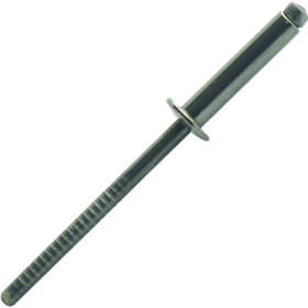 Rivet inox tête plate - BTD SCELL IT