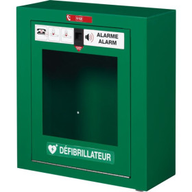 Armoire DAE en acier