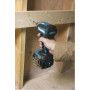 VISSEUSE A CHOCS 170NM 18V DTD153RFJ + 2 BATT 3AH