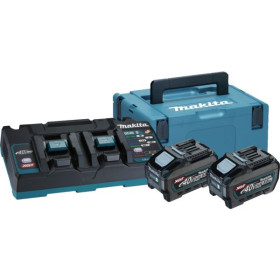 Pack 2 batteries 40 V - 5 Ah