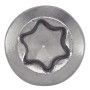 VIS TERRASSE TETE FRAISEE REDUITE SIX LOBES INOX A2