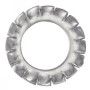RONDELLES -EVENTAIL- A DENTURES EXTERIEURES AZ INOX A2 (ACTON 62513)
