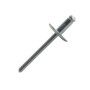 Rivet acier/acier tête extra large - SX SCELL IT