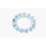 Rondelle Eventail Acier Zingué Blanc - DIN 6798A