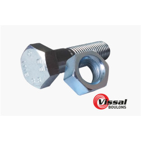 Boulon Structural Bolts SB Tête Hexagonale Acier Zingué Blanc Classe 8.8