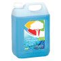 Lave glace écologique bidon 5 litres Baudelet Environnement