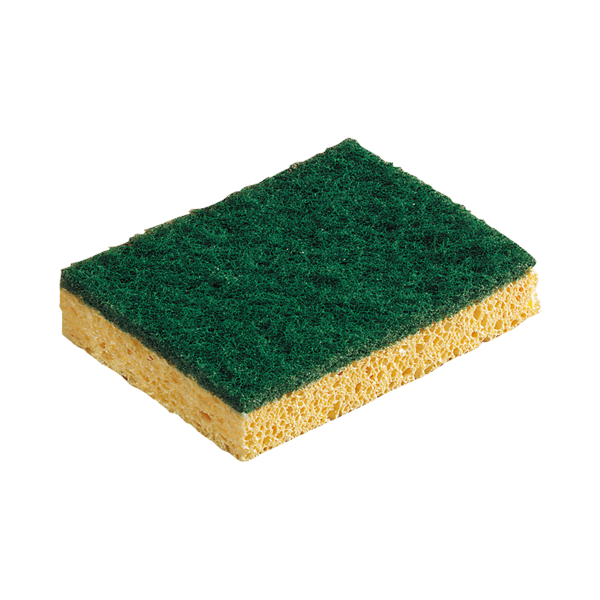 Eponge végétale Abrasive 120X90X26MM