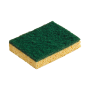 Eponge végétale Abrasive 120X90X26MM
