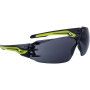 Lunette de protection BOLLE SILEX + FUME