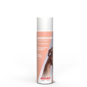 Nettoyant main sec (sans rinçage) AEXAMOUSSE SANS EAU