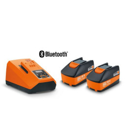 Pack 2 batteries 18V 6aH + chargeur FEIN