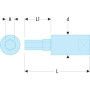 Douilles tournevis 1/4" pour vis 6 pans métriques - FACOM RT
