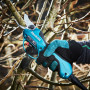 SECATEUR 36V MAKITA DUP362Z