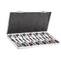 Coffret de tournevis MICRO-TECH®, pour vis à fente, Phillips®, 6 pans et TORX®, 12 pièces FACOM MT.RS2