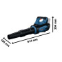 Souffleur sans-fil GBL 18V-800 Professional
