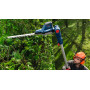 Taille-haies sur perche BOSCH GHE 18V-50 TP Professional
