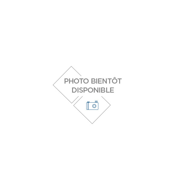 Pompe huile 12V 10 L/min 4 bar