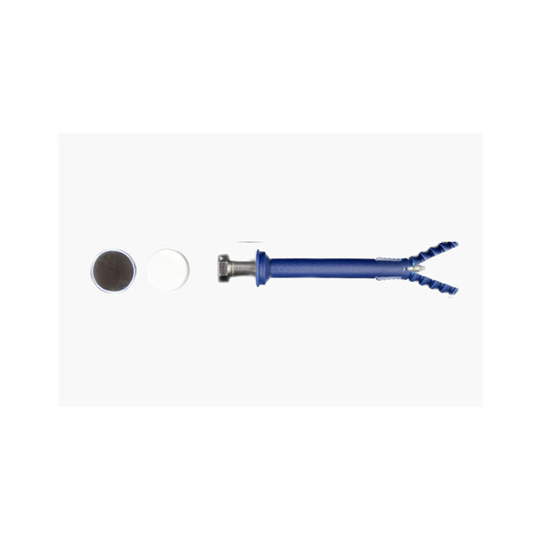 Kit fixation WC 2 vis THF INOX avec cabochon Blanc et Inox