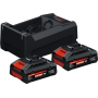 Pack de 2 batteries EXPERT EXBA 18V 4 Ah avec chargeur