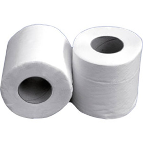 PAPIER TOILETTE - PETIT ROULEAU 110 FORMATS - SACHET DE 24 RLX