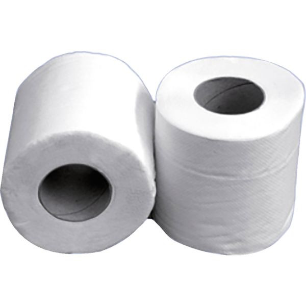 PAPIER TOILETTE - PETIT ROULEAU 110 FORMATS - SACHET DE 24 RLX